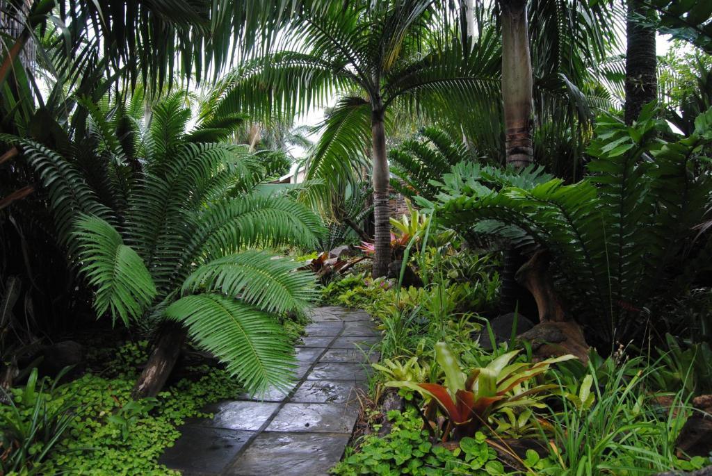 Buya Futhi Bed & Breakfast Saint Lucia Estuary Exteriör bild